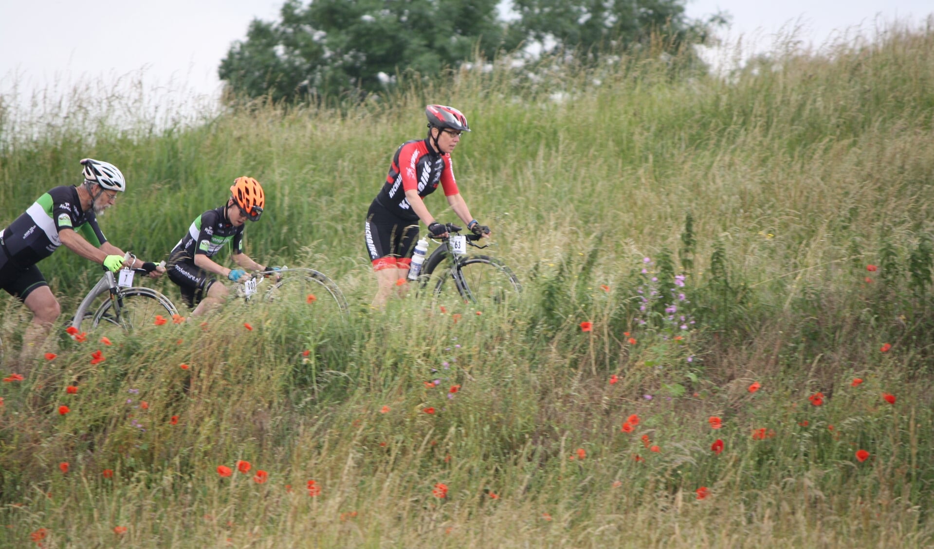 Wedstrijd midden in de prachtige natuur