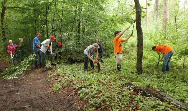 Ruiters en mountainbikers werkten zaterdag gezamenlijk aan hun routes.
