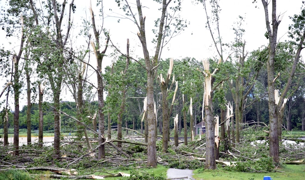 Veel geknakte bomen bij de Ouderkerkerplas.
