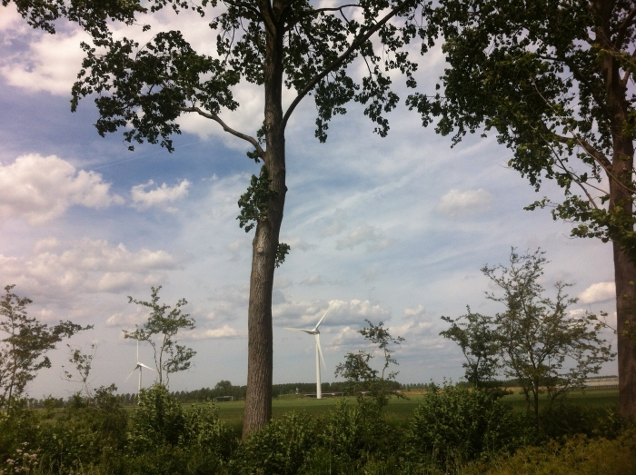Bomen en windmolens