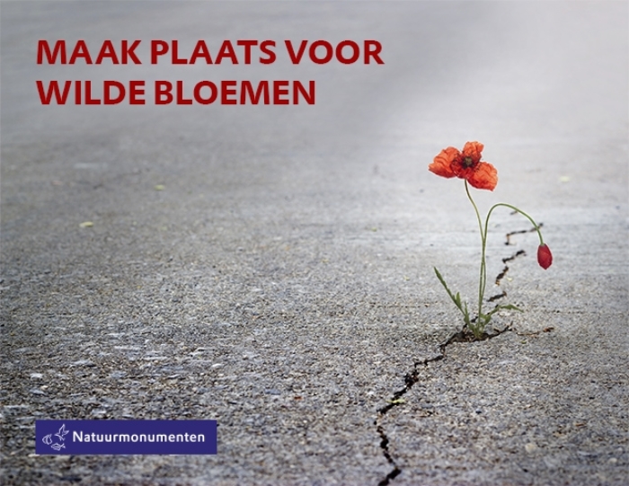 Aandacht voor de collecte voor natuurmonumenten