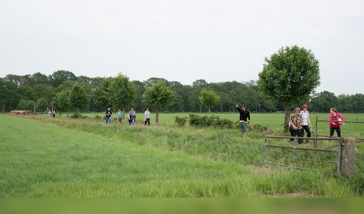 De individuele lopers gingen met 50 personen van start