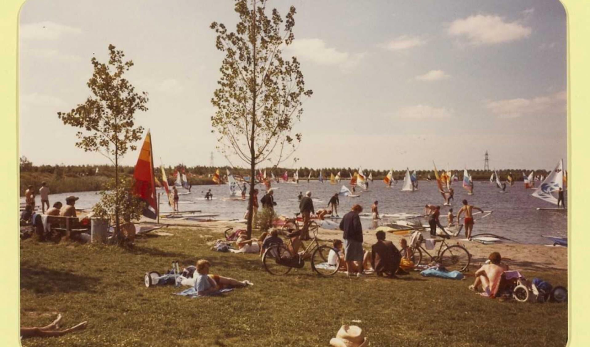 Het Haarlemmermeerse Bos op een zonnige zondagmiddag in augustus 1981. 
