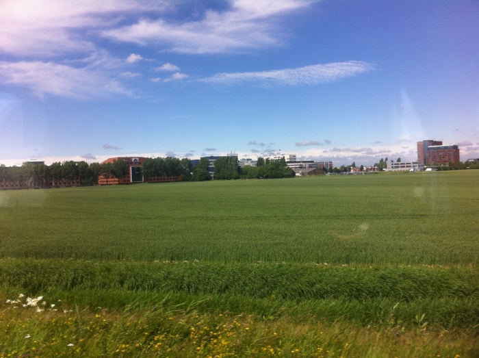 Groene akker met blauwe lucht
