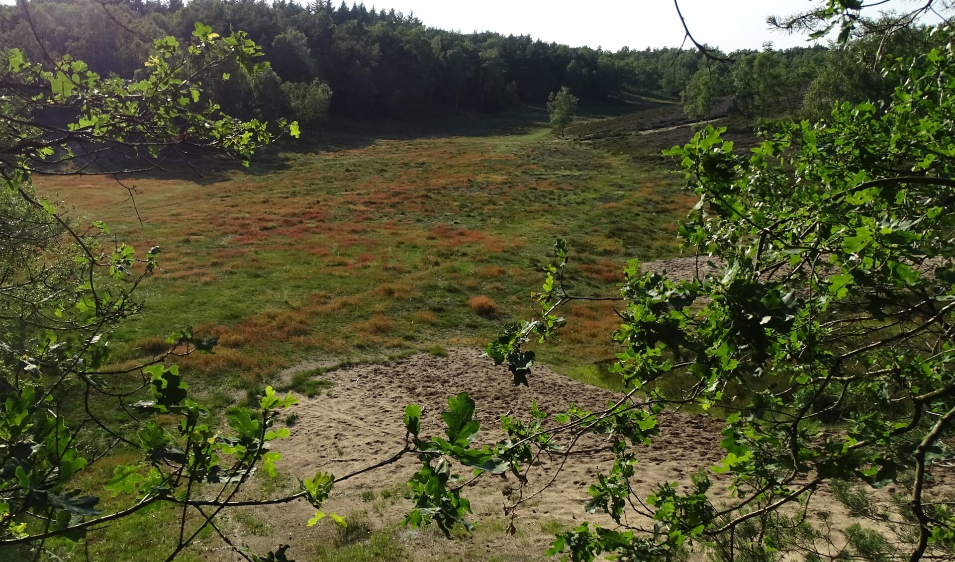 Het Houtdorperveld bij Garderen.