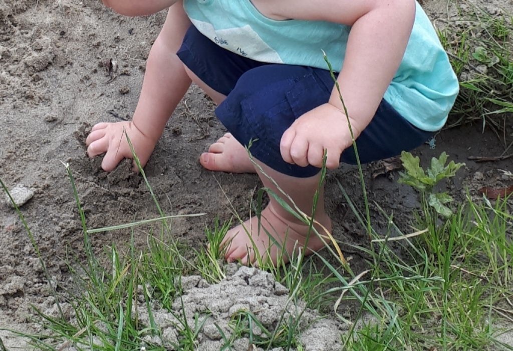 Kinderopvang Roodkapje