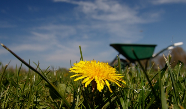 Lichte klussen doen in de tuin