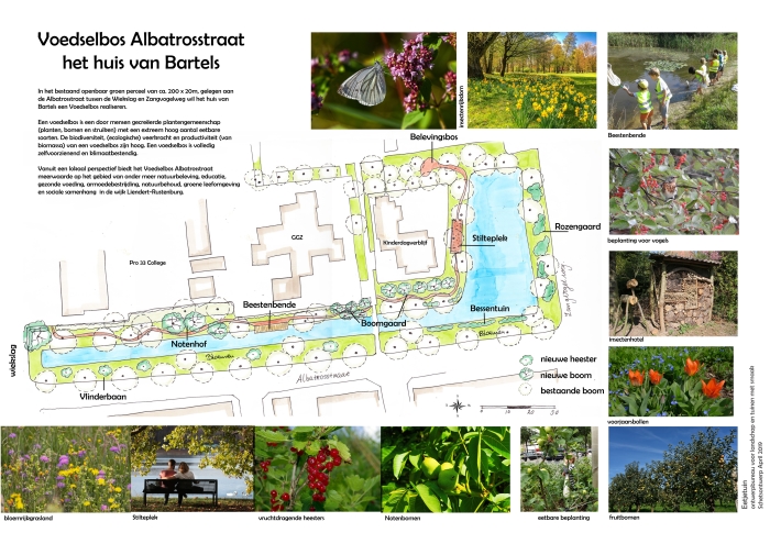 Plan voor Voedselbos Albatrosstraat