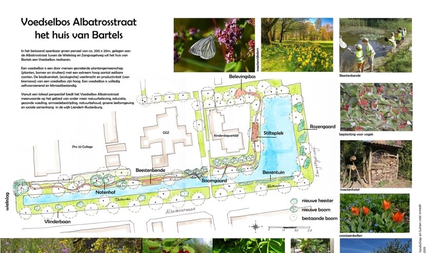 Plan voor Voedselbos Albatrosstraat