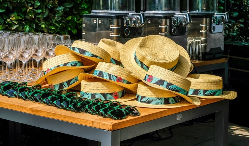Meerbusiness Netwerk - Haring Party 2019