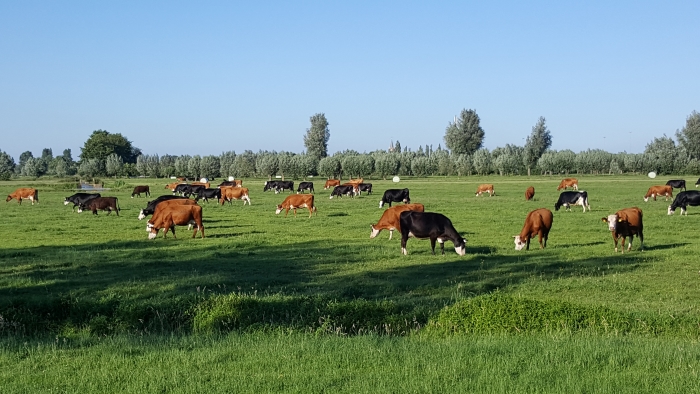 Ons uniek landschap