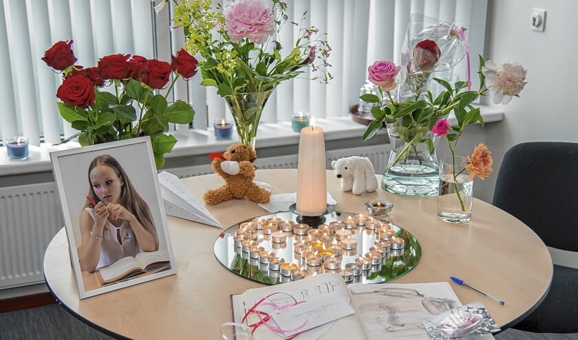Gedenktafel voor Romy, in een ruimte op de school in De Glind waar Romy leerlinge was.