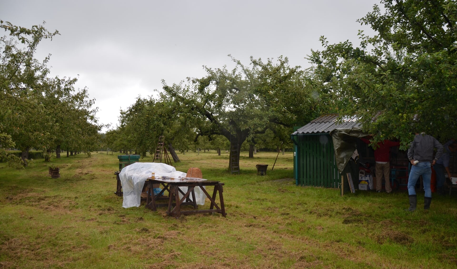 Het Open Huis in de Hordenboomgaard begon met regen