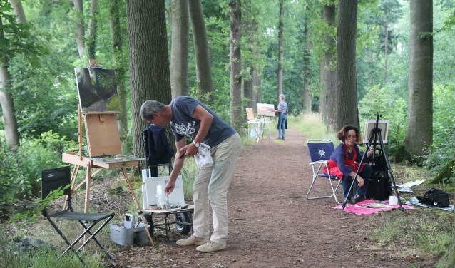 In het bos in Stoutenburg