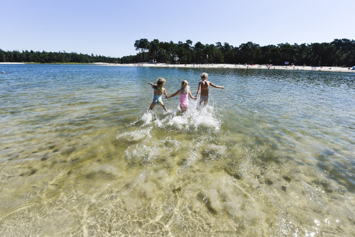 Vier de zomer