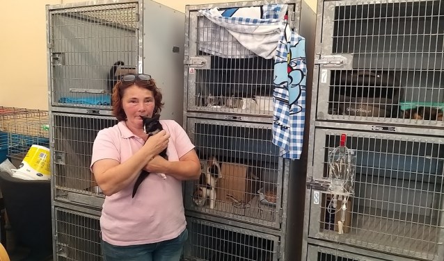 Eigenaresse Cora Rikkelman staat met een kitten bij de noodhokken die deze zomer hard nodig zijn.
