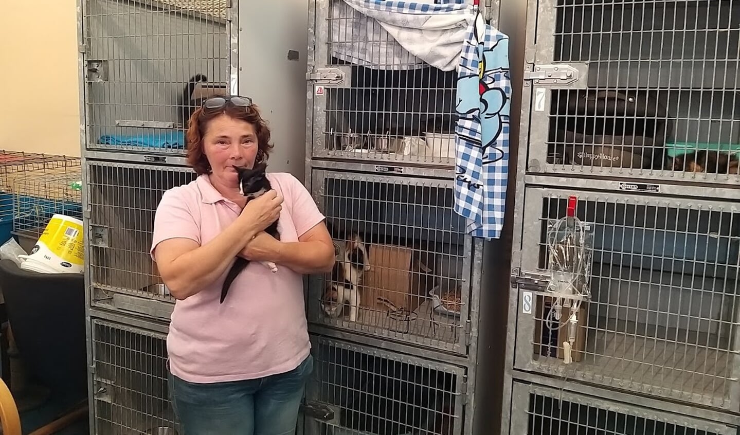 Eigenaresse Cora Rikkelman staat met een kitten bij de noodhokken die deze zomer hard nodig zijn.