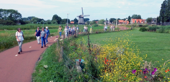 De wandeling ging door het moengebied Ouddorper-polder
