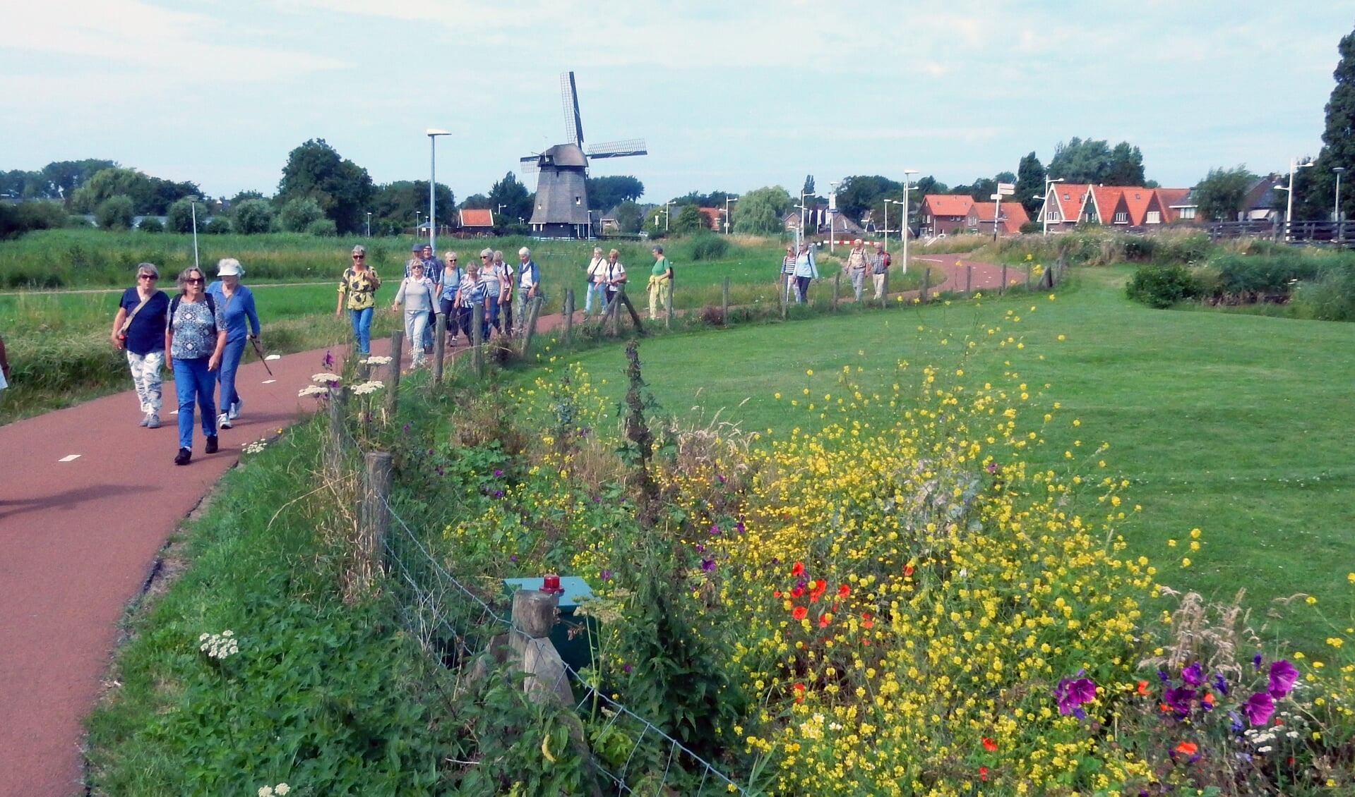 De wandeling ging door het moengebied Ouddorper-polder