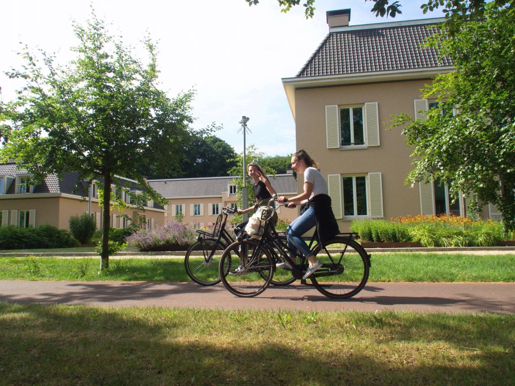 De gemeente wil paviljoen De Hoeve (rechts) verhuren aan een externe gebruiker.