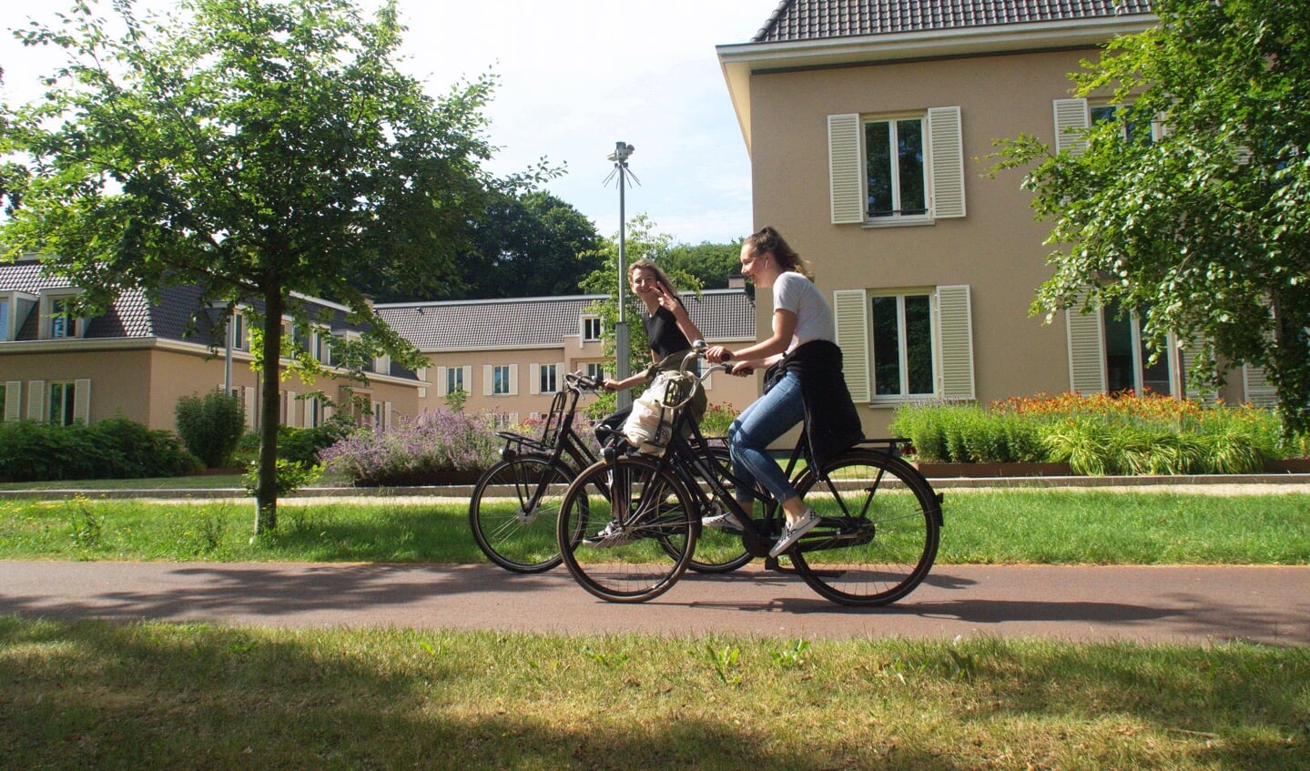 De gemeente wil paviljoen De Hoeve (rechts) verhuren aan een externe gebruiker.