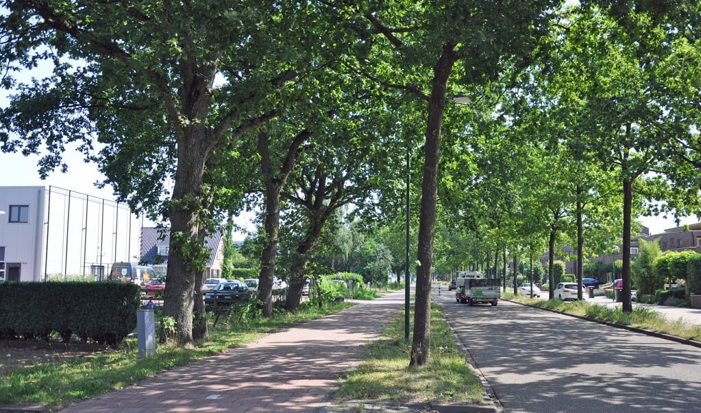 De bewoners verwachten dat Soest handhavend optreedt tegen twee autobedrijven aan de Dorresteinweg.