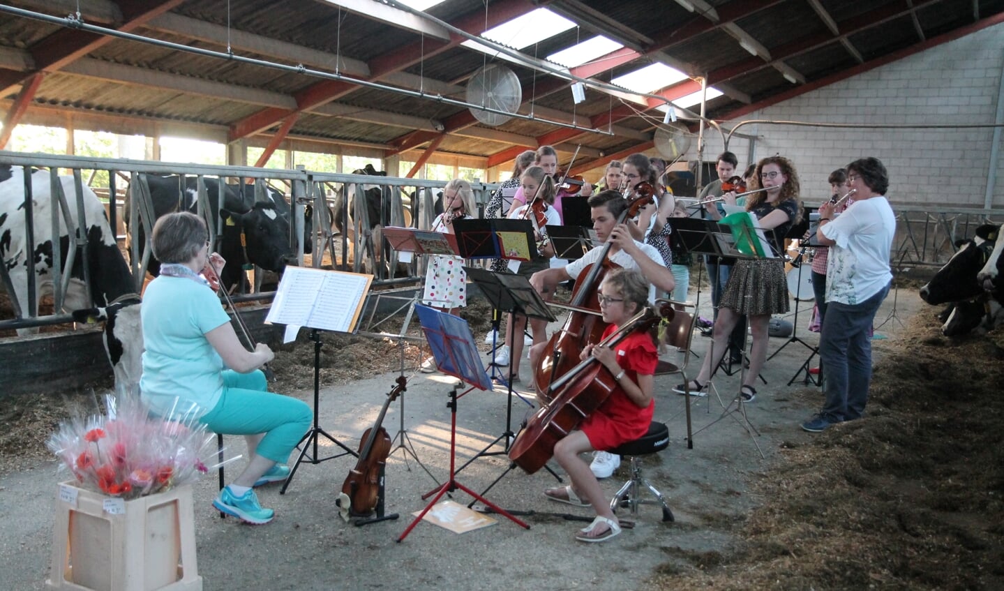 Woudenbergs Kamer Orkest