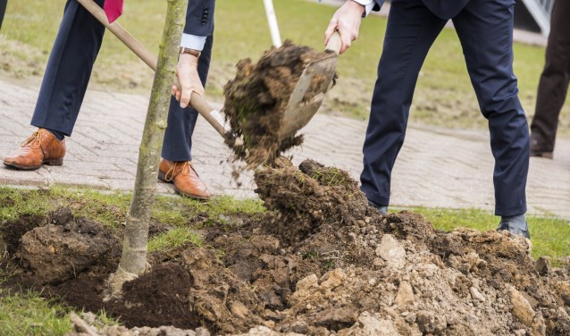 Bomen planten.
