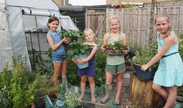 De kinderen zijn regelmatig te vinden in hun moestuin.