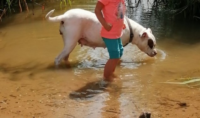 Jennie Verduijn maakte een foto langs het struinpad bij de Merwede in Hardinxveld tijdens een wandeling met hond Babs en kleindochter Sterre.