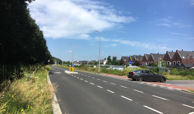 Ter hoogte van Tuindorp kan de tweede rij bomen worden behouden.