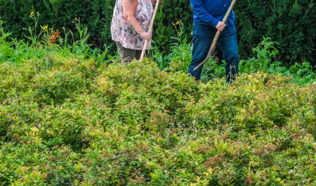<p>De gezinnen kunnen straks schoffelen in hun gratis stuk tuin.</p>