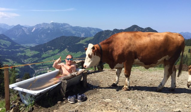 Deze winnende foto is ingezonden door Vincent Zandbergen uit Voorthuizen. ,,Op de dag dat ik veertig werd, maakte m'n dochter Anouk deze mooie foto. Tijdens een mooie wandeling in de bergen van Tirol zocht ik wat verkoeling in de drinkbak van de koeien.''