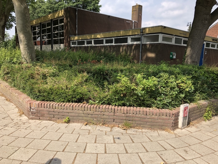 De plek bij de Irenezaal waar het bijenhotel komt