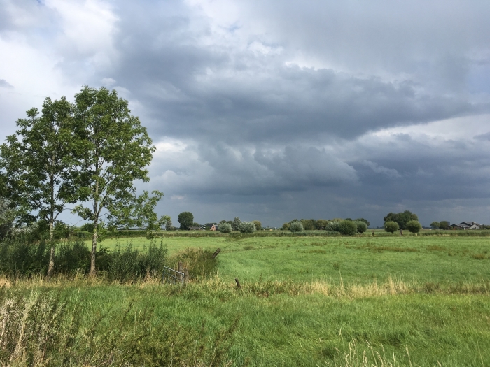 Wolken en zon boven de Eemerwaard