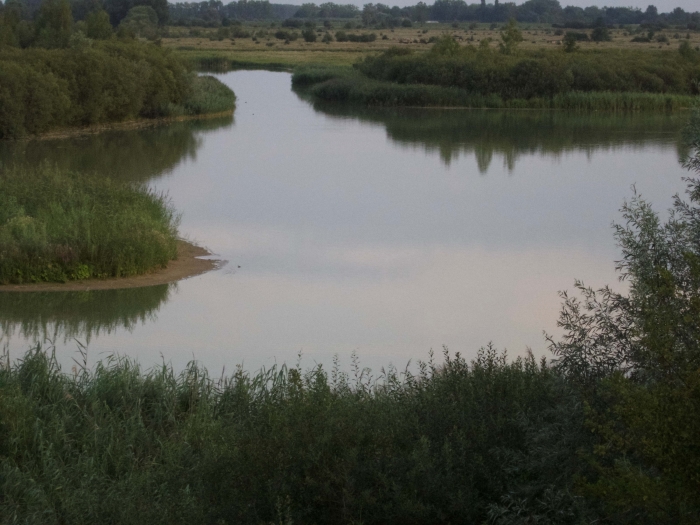 De Amerongse Bovenpolder