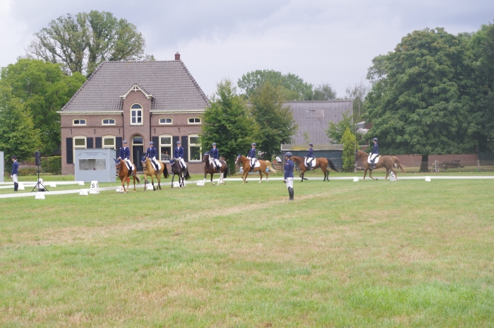 Het 6-tal tijdens hun proef op de Gelderse kampioenschappen in Zieuwent