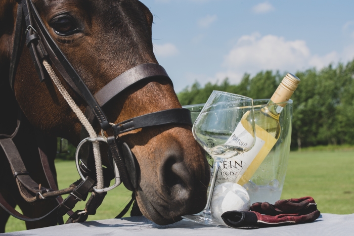 Polo Club Midden-Nederland