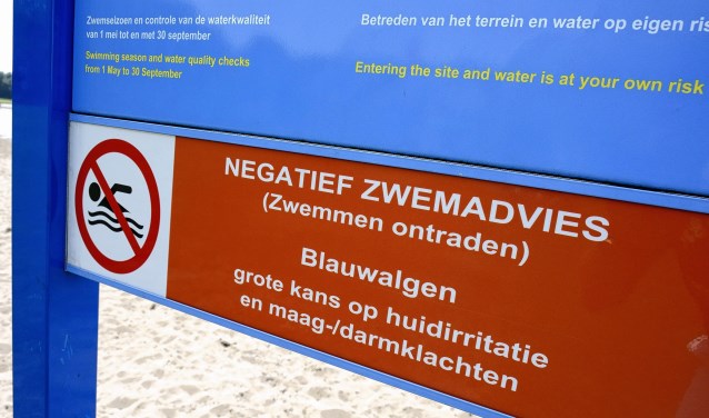 ANP Vlaardingen ziekte, alg, verkoeling, waterkwaliteit, kwaliteit, temperaturen, mooi, sfeerbeeld,