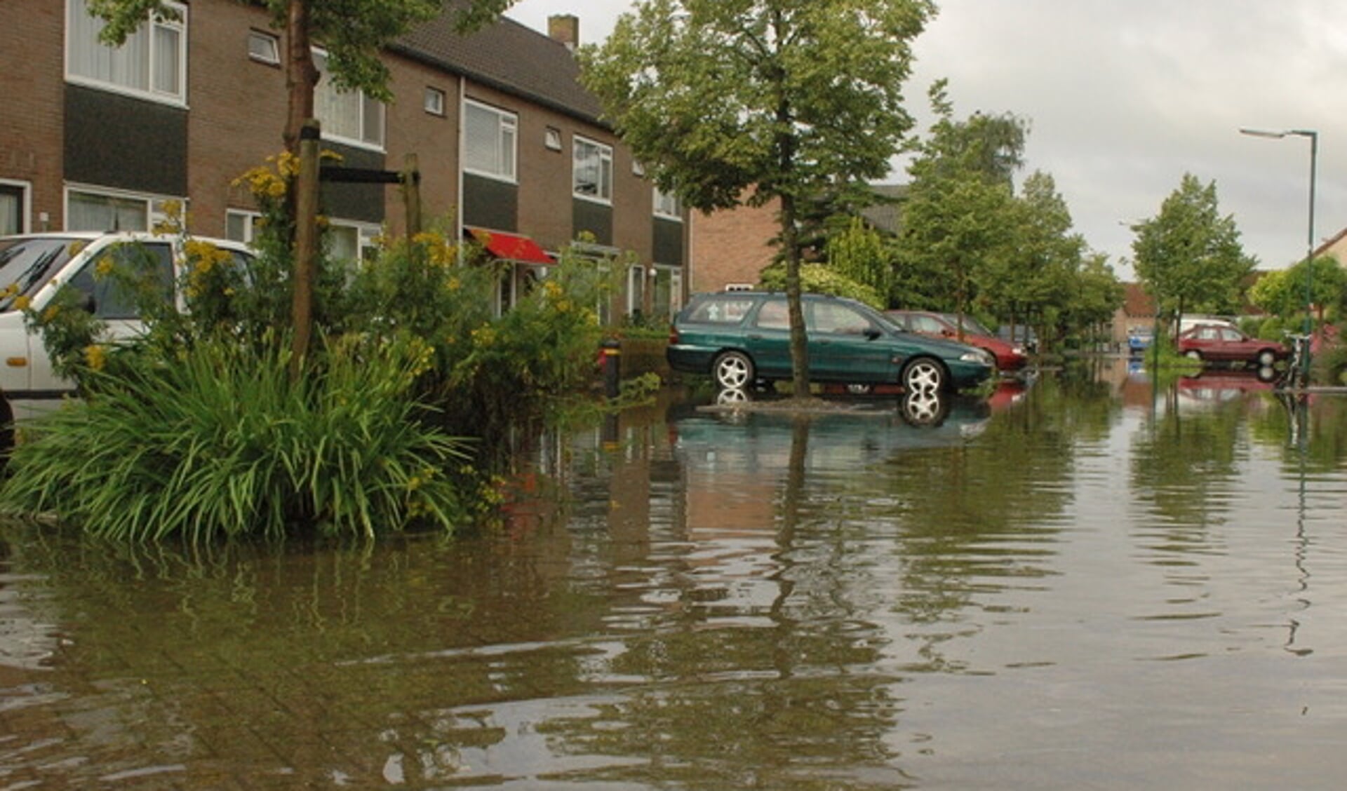 Wateroverlast in de Wickenburghselaan: stresstest voor extreme regenbuien?