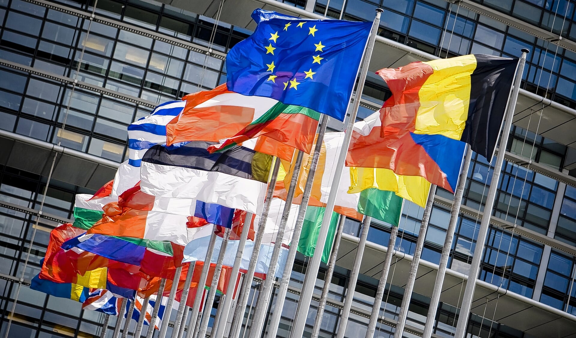 Vlaggen van verschillende Europese landen.
