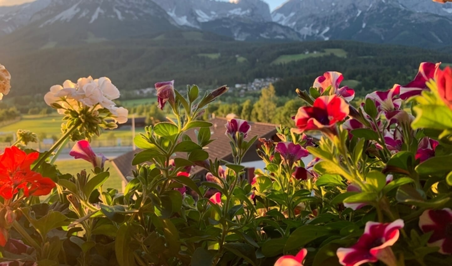  Fred Stuij showt zijn uitzicht vanaf het balkon van het appartement op de Wilder Kaiser bij Ellmau, Tirol, Oostenrijk.