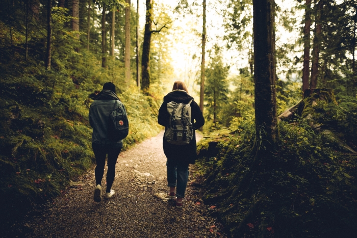 reumawalk