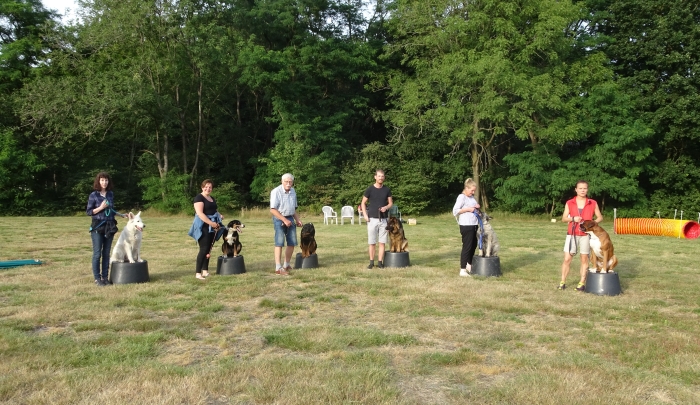 Sport en Spel cursus
