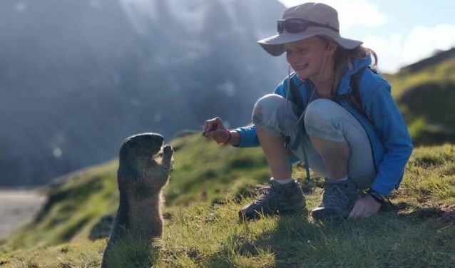 Wild schattig marmotje komt voorzichtig kijken bij onze dochter Cara. De foto is gemaakt in Oostenrijk, bij de Grossglokcner gletsjer