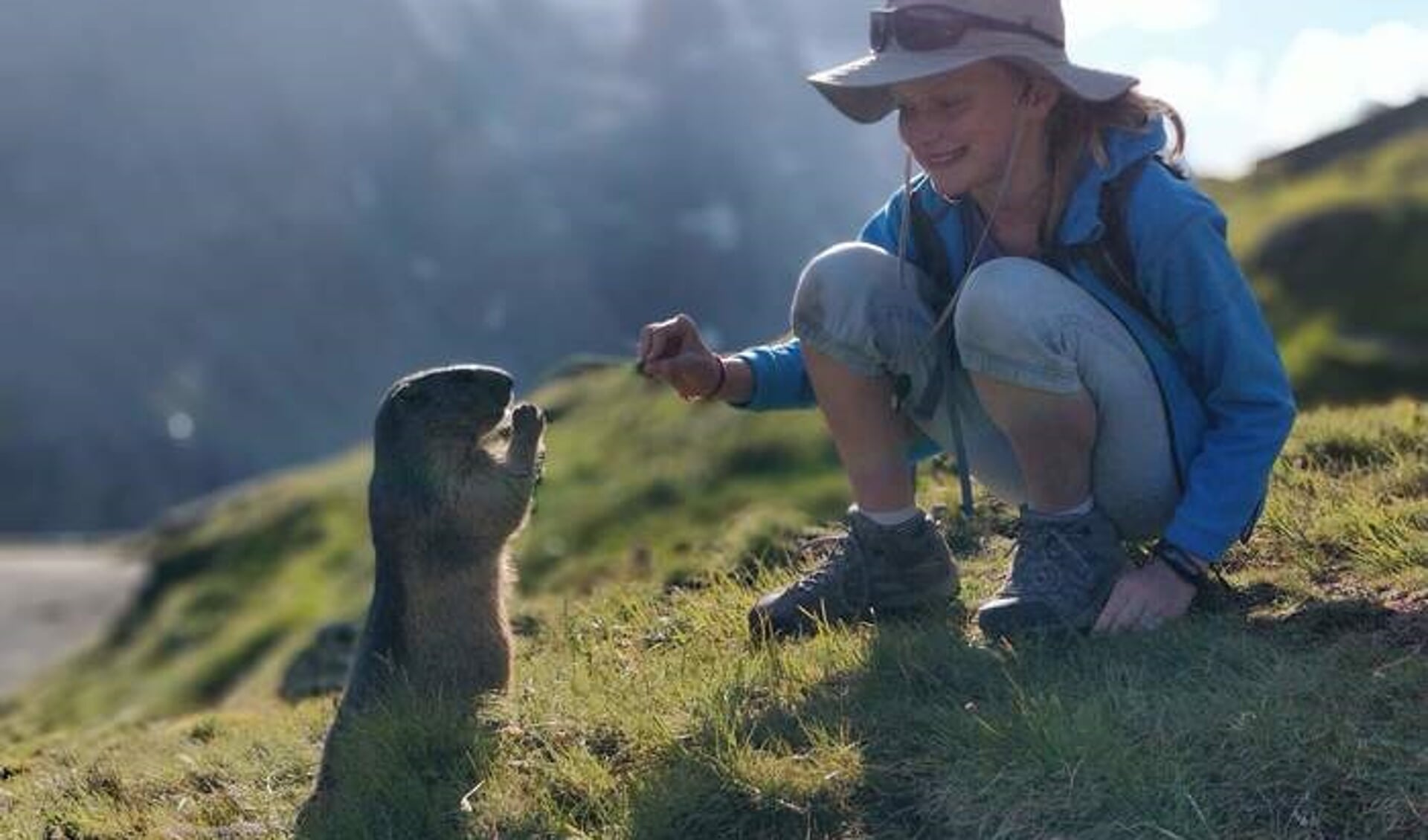Wild schattig marmotje komt voorzichtig kijken bij onze dochter Cara. De foto is gemaakt in Oostenrijk, bij de Grossglokcner gletsjer 