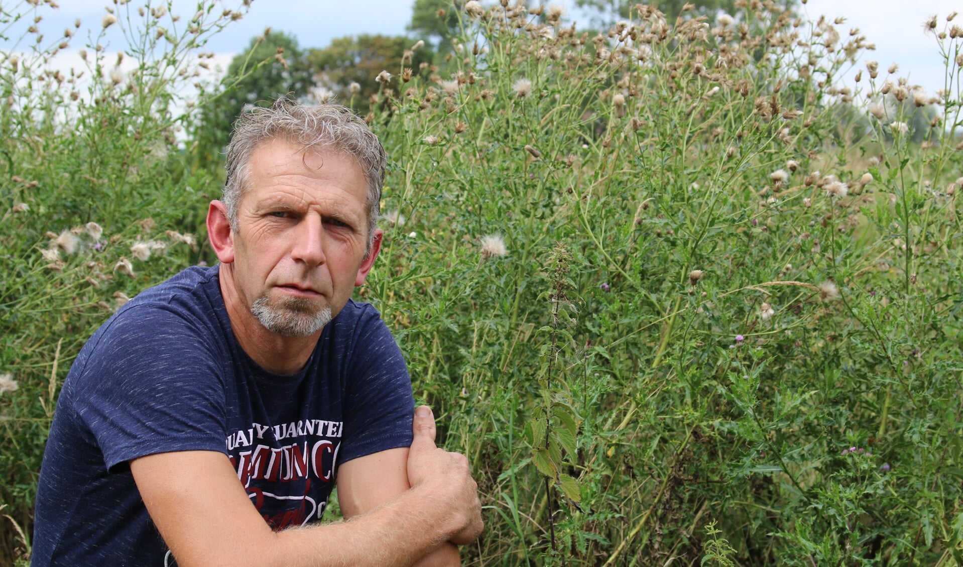 Fred van den Hoek bij de door hem vermaledijde distels, die nu vol zaadpluis zitten dat zijn land inwaait.