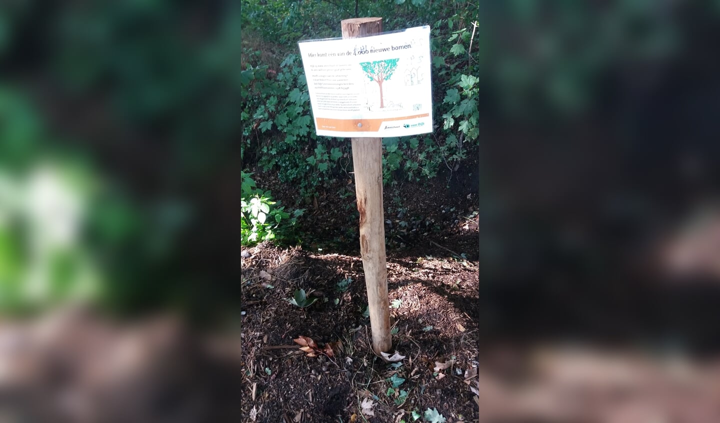 Aankondiging nieuwe boom