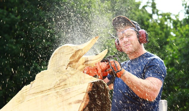 Hoofdonderdeel is het Nederlands Kampioenschap Sculptuurzagen.