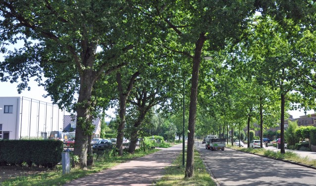 De Dorresteinweg met rechts de Sloothaak. Links de bedrijvenunits. De verhoudingen worden er niet vriendelijker op.